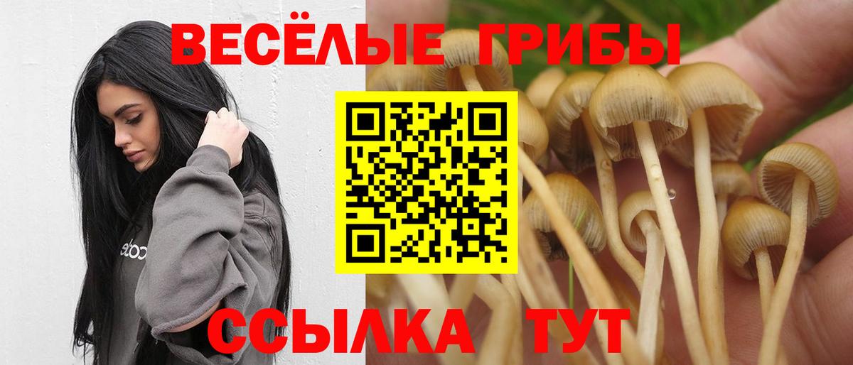 Соль-Илецк  Псилоцибиновые грибы мицелий  Псилоцибиновые грибы мицелий  Вход с VPN 